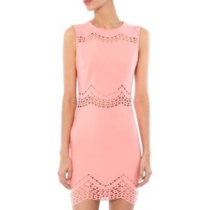 Elizabeth and James Merna Dress NWOT